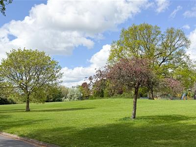 Picture 24